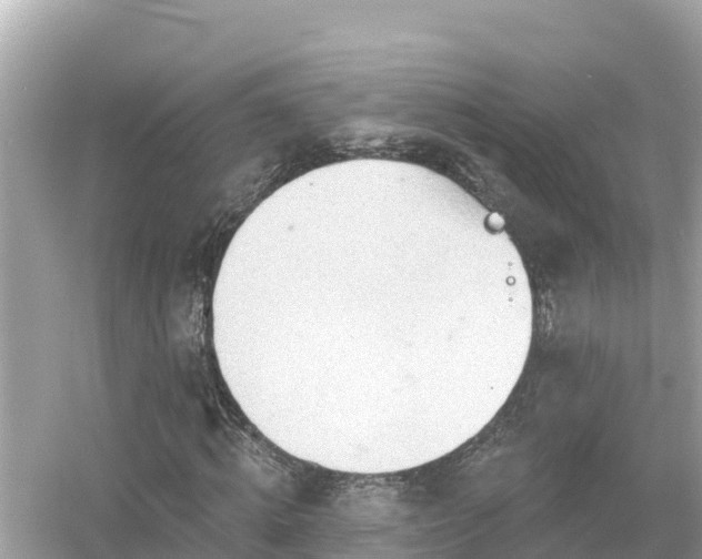 X0000054440820200508051856