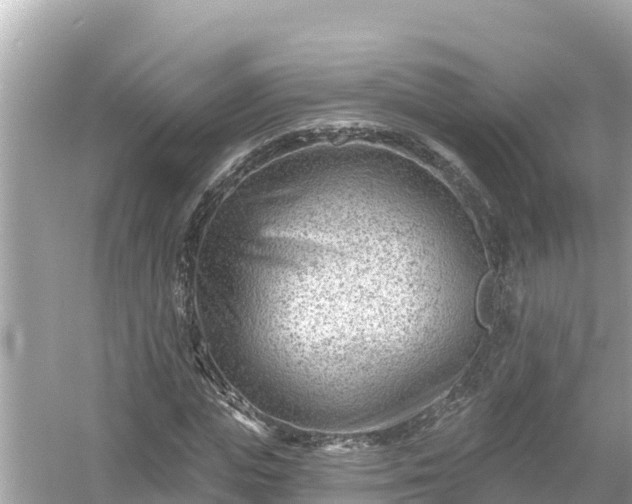 X0000054440823200508051856