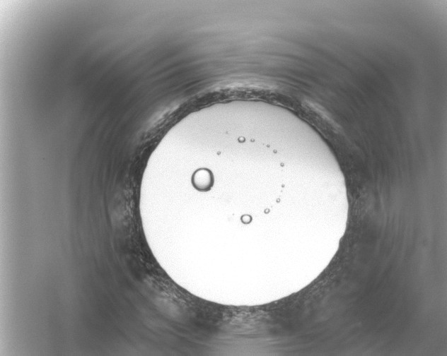 X0000054440824200508051856