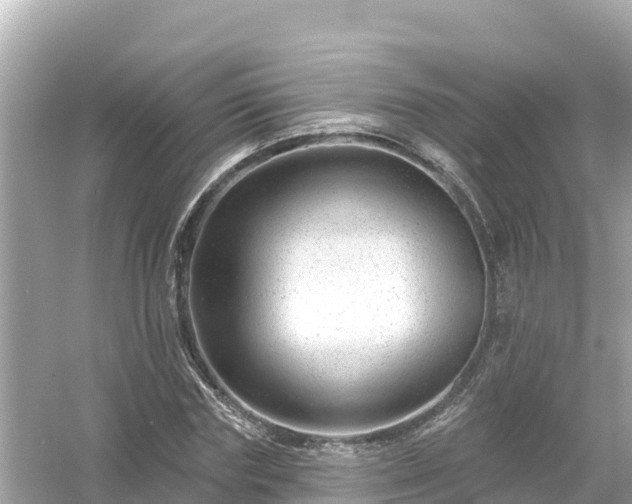 X0000054440827200508051856