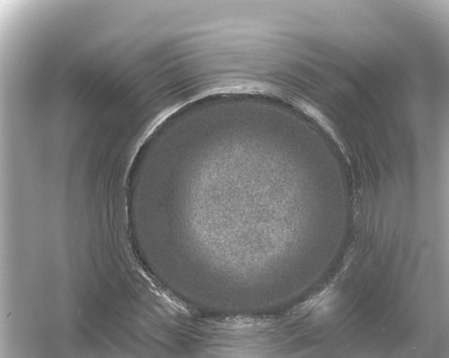 X0000054440829200508051856