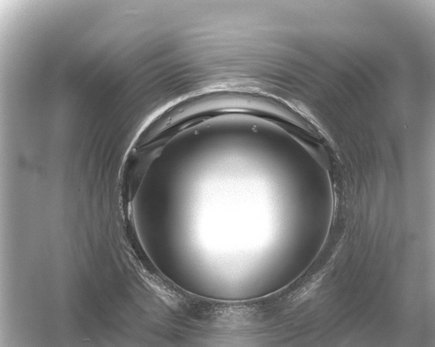 X0000054440830200508051856