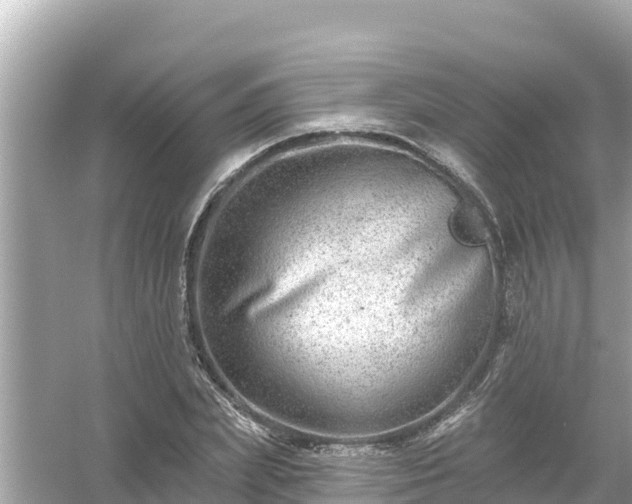 X0000054440831200508051856