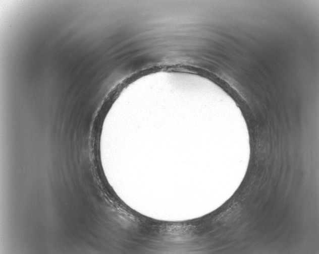 X0000054440832200508051856