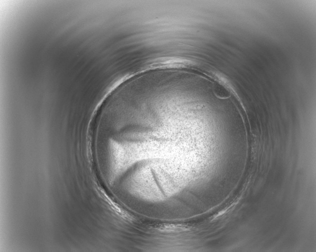 X0000054440835200508051856