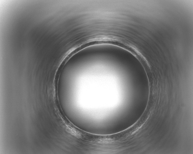 X0000054440837200508051856