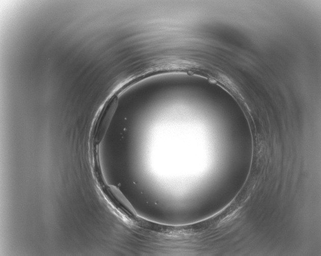 X0000054440843200508051857