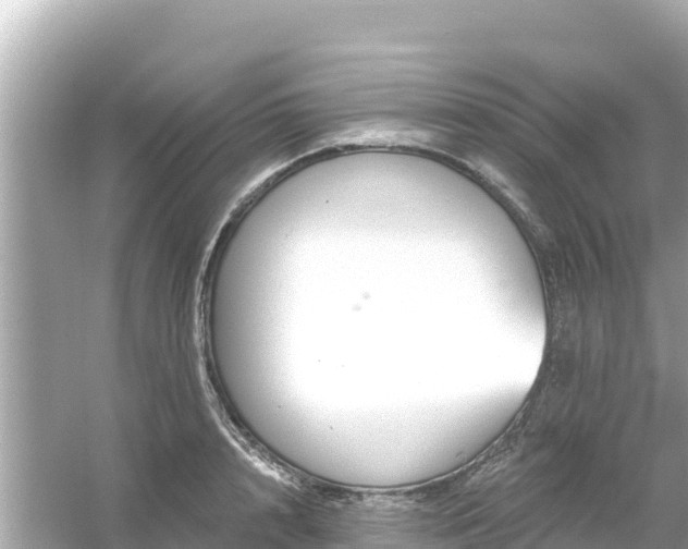 X0000054440848200508051857