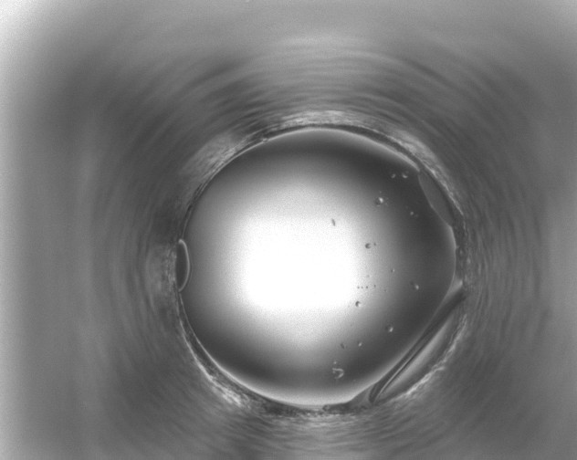 X0000054440849200508051857