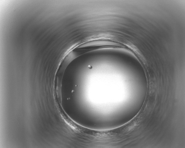 X0000054440850200508051857