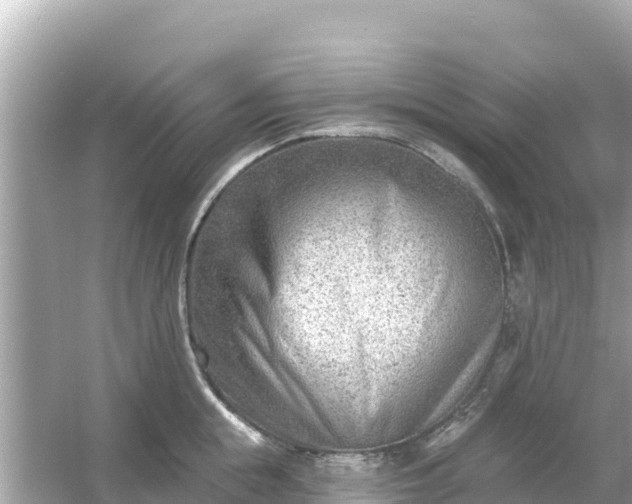 X0000054440855200508051857