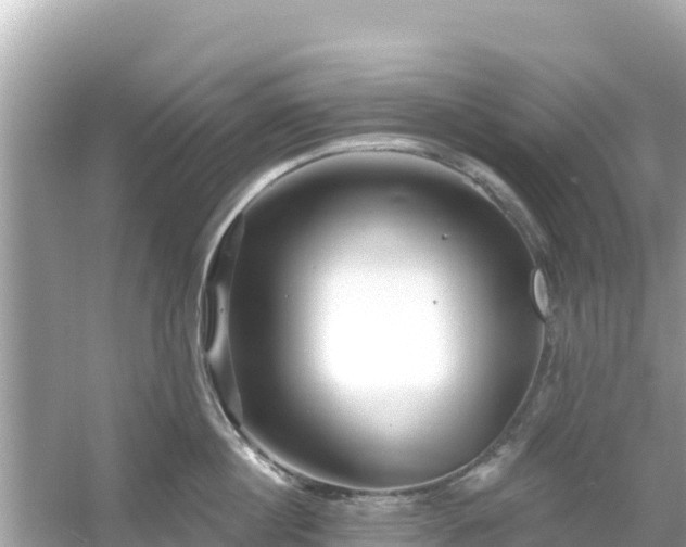 X0000054440860200508051857