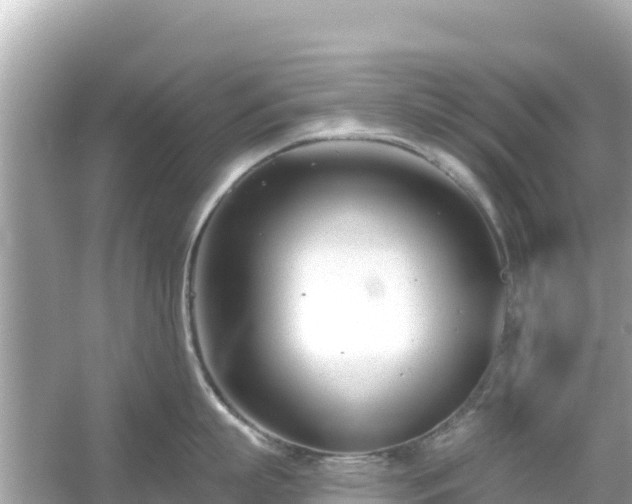 X0000054440863200508051857