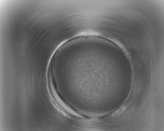 X0000054440864200508051857