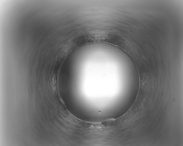 X0000054440866200508051856