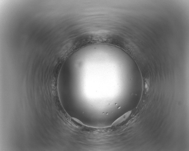 X0000054440867200508051856