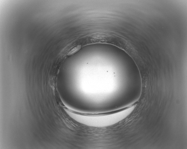 X0000054440868200508051856