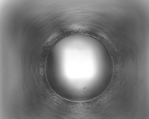 X0000054440869200508051856