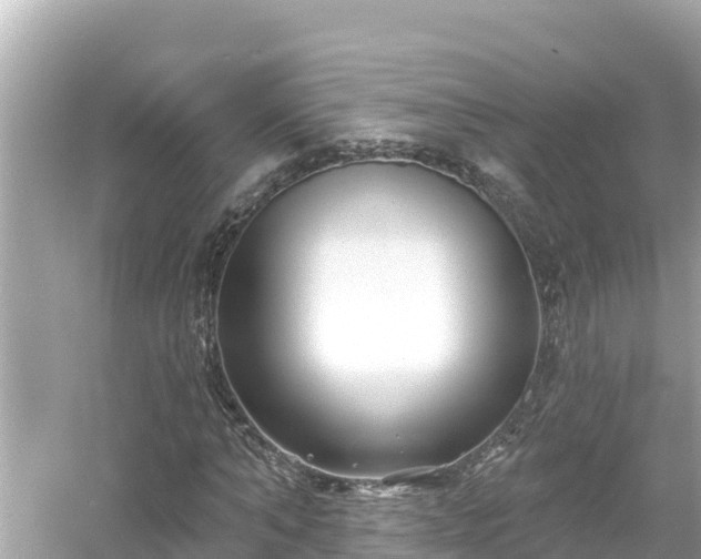 X0000054440870200508051856