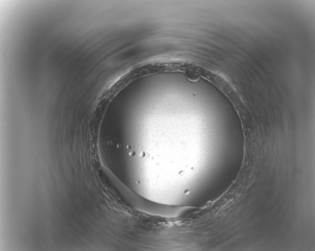 X0000054440871200508051856