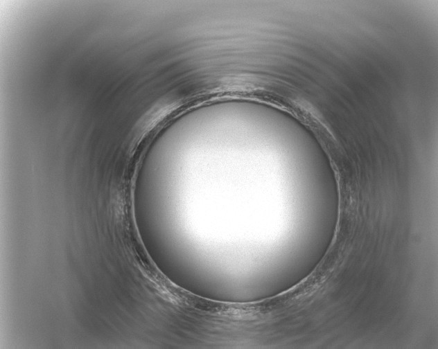 X0000054440874200508051856