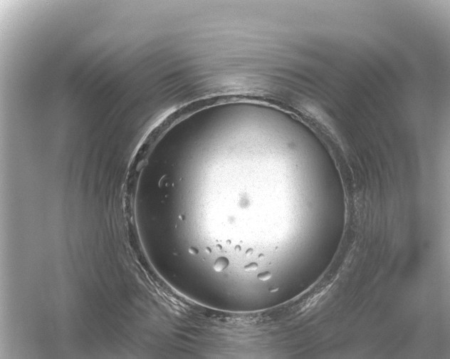 X0000054440875200508051856