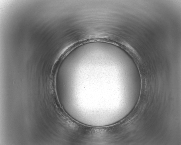 X0000054440878200508051856