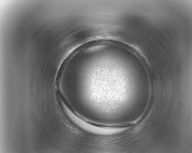 X0000054440879200508051856