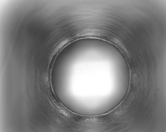 X0000054440882200508051856