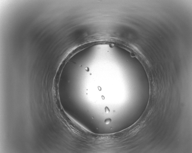 X0000054440883200508051856