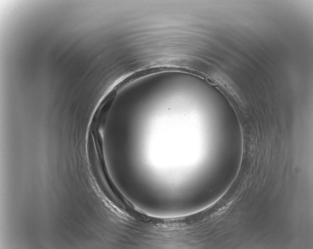 X0000054440884200508051856