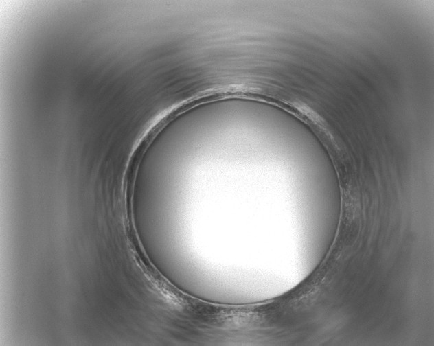 X0000054440886200508051856