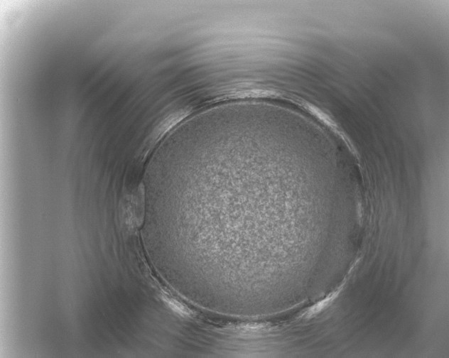 X0000054440889200508051856