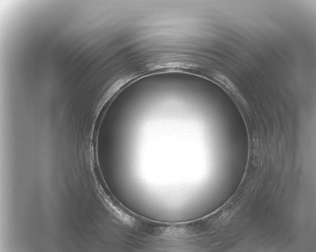 X0000054440890200508051856