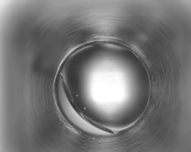 X0000054440891200508051856