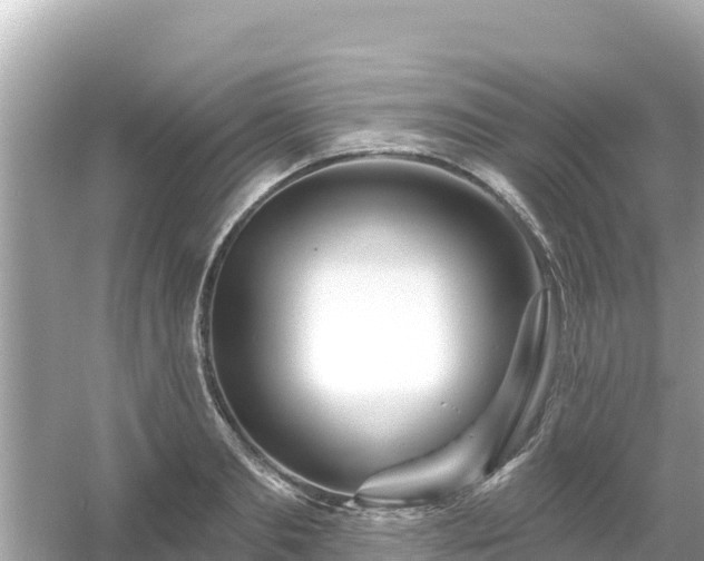 X0000054440893200508051856