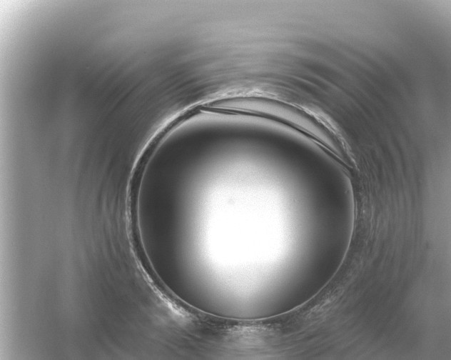 X0000054440894200508051856