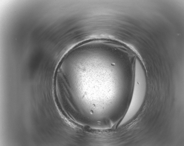 X0000054440895200508051856