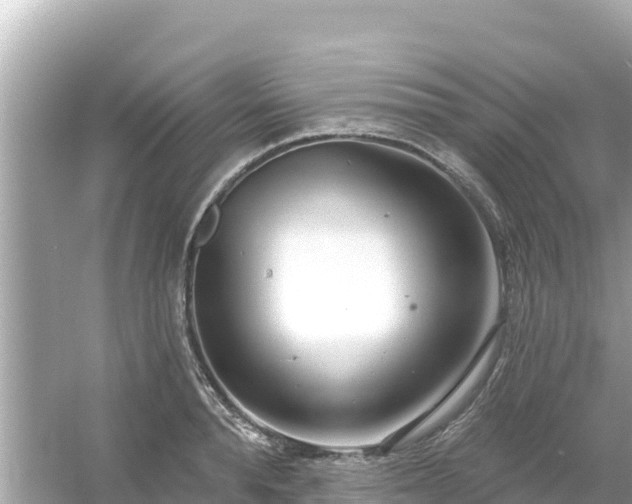 X0000054440896200508051856