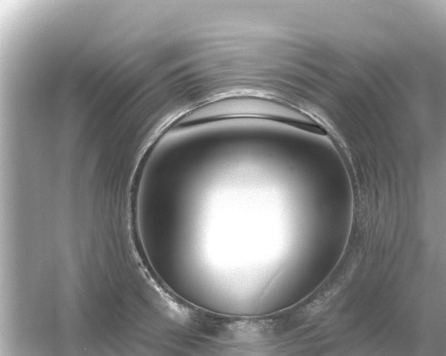 X0000054440898200508051856