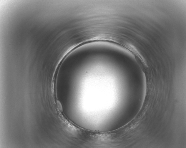 X0000054440900200508051855