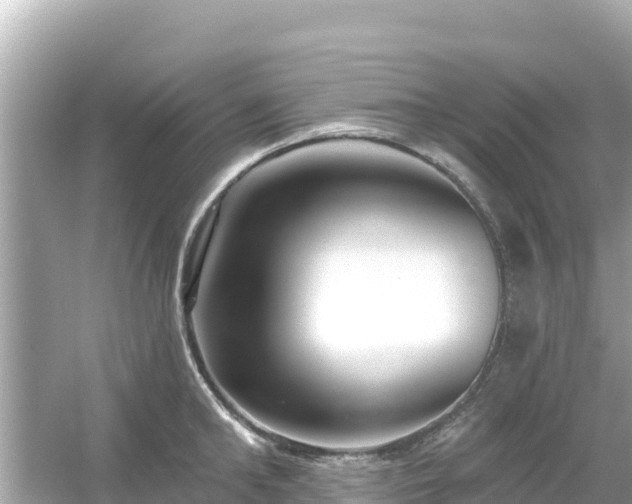 X0000054440902200508051855