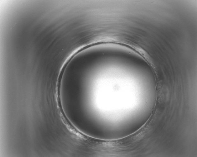 X0000054440904200508051855