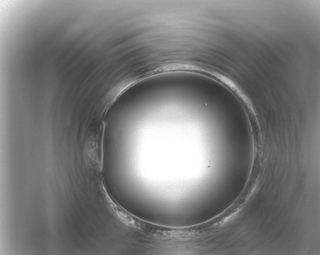 X0000054440905200508051855