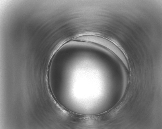 X0000054440906200508051855