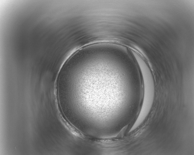 X0000054440907200508051855