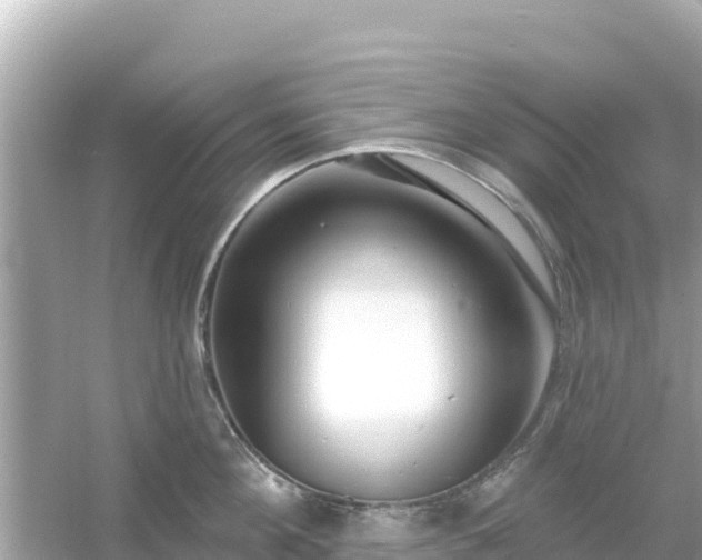 X0000054440908200508051855