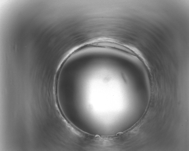 X0000054440910200508051855