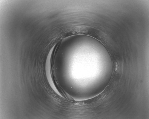 X0000054440915200508051854