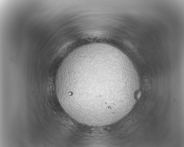 X0000054440918200508051855